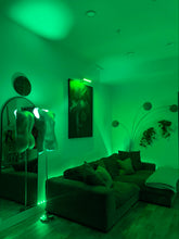 Load image into Gallery viewer, Silver Female Torso Lamp