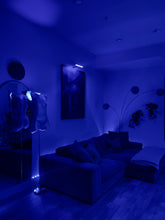 Load image into Gallery viewer, Silver Female Torso Lamp