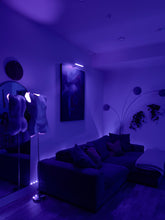 Load image into Gallery viewer, Silver Female Torso Lamp